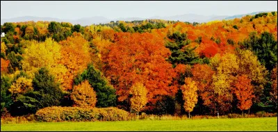 O&ugrave; vit le Clan du Tonnerre ?