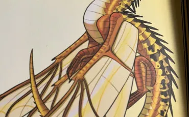 Quiz Les royaumes de feu