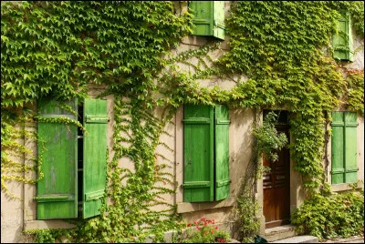 La maison est couverte de ...