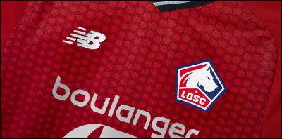 Quel est le logo sur la photo ?