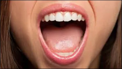 La bouche est un ... du corps