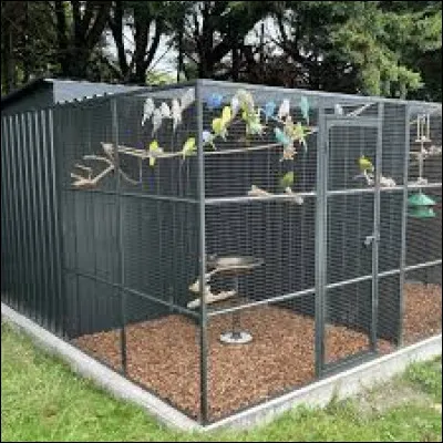 Une ... est un enclos pour oiseaux