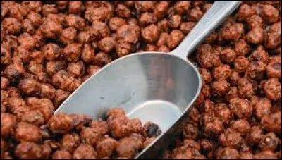 De quelle r&eacute;gion nous viennent les picorettes fruits secs caram&eacute;lis&eacute;s ?