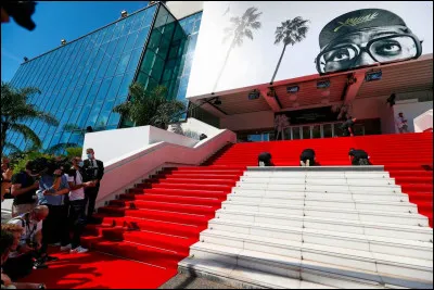 On m'a d&eacute;roul&eacute; le tapis rouge, quel honneur. O&ugrave; suis-je ?