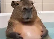 Quiz Me connais tu bien ?