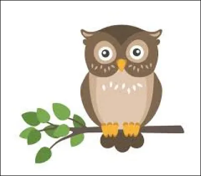 Laquelle de ces trois chouettes est aussi appel&eacute;e "chat huant" ?