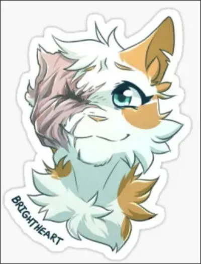 Qui est sa compagne ?