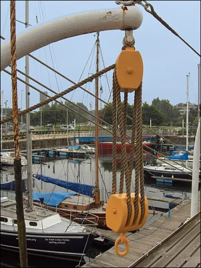 Musimon est l'ancien nom de quel animal ?