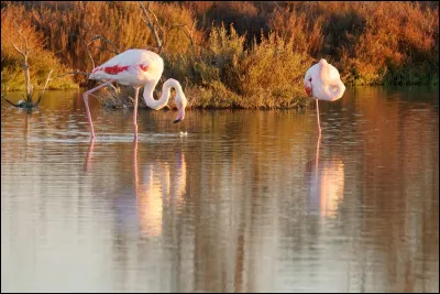 Dans quel d&eacute;partement se situe l'&eacute;tang de Berre ?