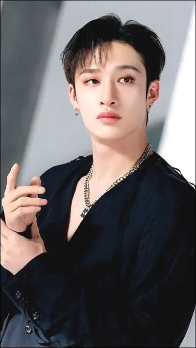 Leader protecteur. Producteur, travailleur acharn&eacute;.Toujours l&agrave; pour son groupe. Qui est-ce ?