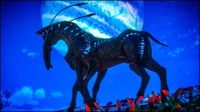 Ta force mentale et physique vient de�