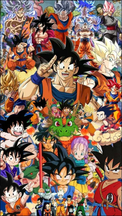 Un gar&ccedil;on qui peut se transformer en super guerrier et utilise des boules de puissance pour combattre. C�est lequel ?