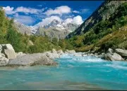 Quiz Un ou deux 'r' ? (11)