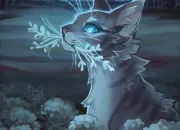 Test Serais-tu une bonne guerri�re dans LGDC ?