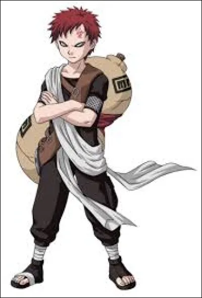 Qui est ce gar&ccedil;on ?