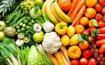 Quiz Notre plan�te