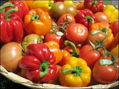 Nous sommes, nous sommes des...