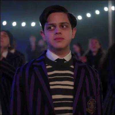 Qui joue Pugsley Addams ?