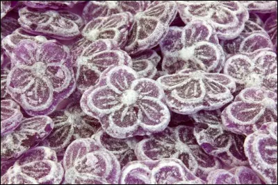 Quelle plante fit la renomm&eacute;e de Toulouse au XIXe si&egrave;cle et au XXe si&egrave;cle ?