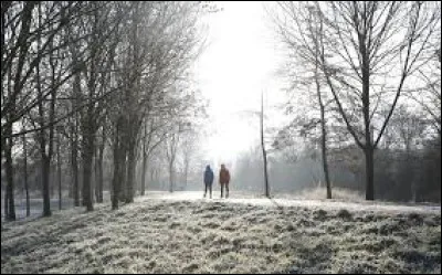 Quand commence l'hiver m&eacute;t&eacute;orologique ?