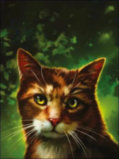 Pour finir son nom de chaton &eacute;tait...