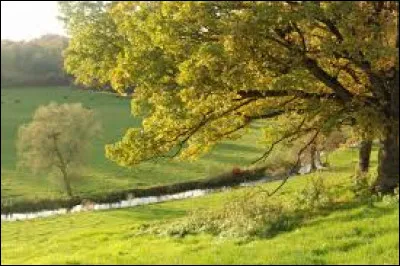 Quel est son num&eacute;ro ?