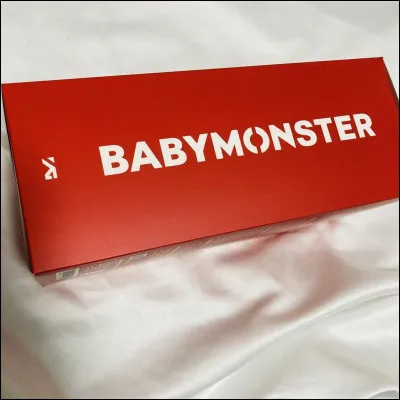 De combien de membres le groupe BabyMonster est-il compos&eacute; ?