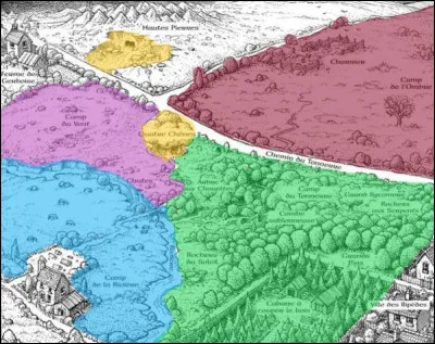 Combien y a-t-il de clans dans la for&ecirc;t ?