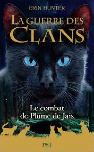 Quelle est la fausse affirmation &agrave; propos de Plume de Jais ?