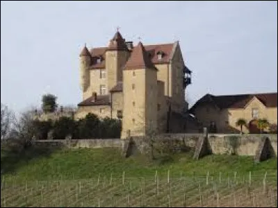 Nous d&eacute;marrons cette balade au ch&acirc;teau d'Arricau-Bordes. Village de l'aire d'attraction Paloise, il se situe dans le d&eacute;partement ...