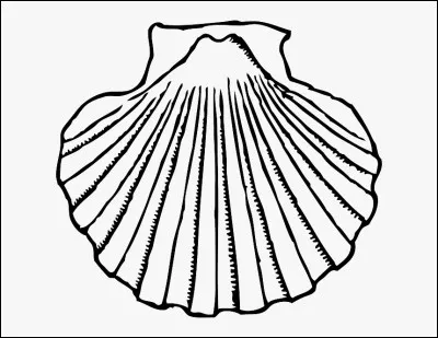 Comment explique-t-on la pr&eacute;sence de coquilles sur le blason de Quintal ?