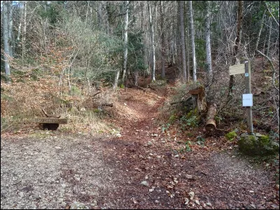 Comment se nomme le chemin qui permet d'acc&eacute;der aux grottes ?