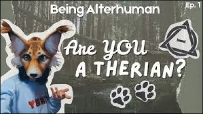 Tu pr&eacute;f&egrave;res�