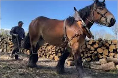 Quelle est la r&egrave;gle des 20 ?