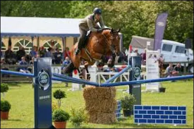 Quelle est cette discipline ?