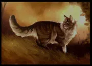 Quiz Quiz sur Griffe de Ronce