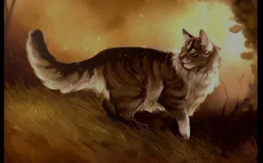 Quiz Litt�rature, po�sie