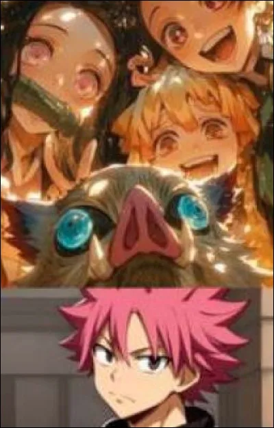 Dans leur groupe, ils sont quatre.