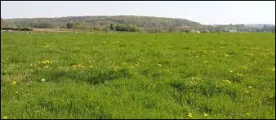 Grande &eacute;tendue d'herbe :