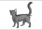 Quiz Connais-tu bien Plume Grise de LGDC ?