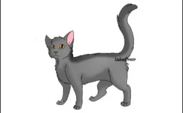 Quiz Litt�rature, po�sie