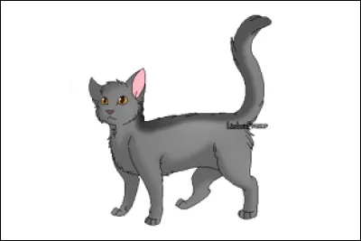 Quel est son nom anglais ?