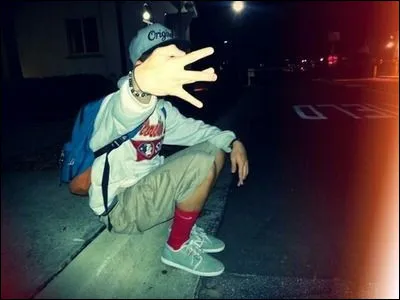 Quel chanteur canadien &eacute;tait tr&egrave;s populaire avec ses chansons en 2016 ?