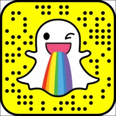Quel filtre snap &eacute;tait le plus populaire ?