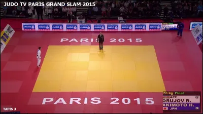Quel est le nom de la surface plane de forme carr&eacute;e sur laquelle on pratique le judo ?