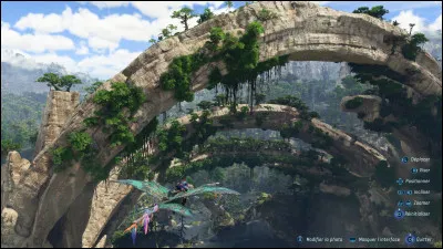 Quel environnement te met le plus en paix ?