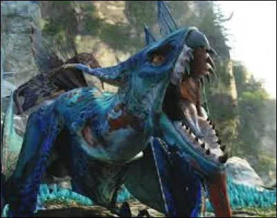 Quelle relation entretiens‑tu avec les animaux ?