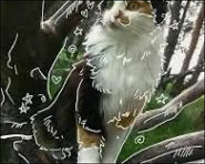 Si tu devais pratiquer ce sport dangereux, o&ugrave; serait le lieu id&eacute;al pour le faire ?