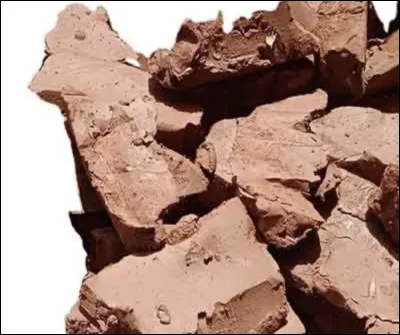 Quel est ce dragon, d�apr&egrave;s cette image ?