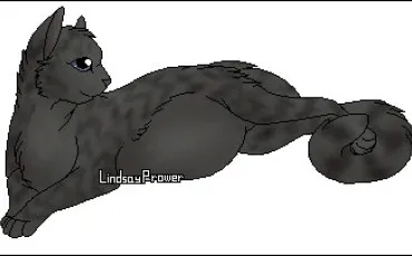 Quiz Litt�rature, po�sie